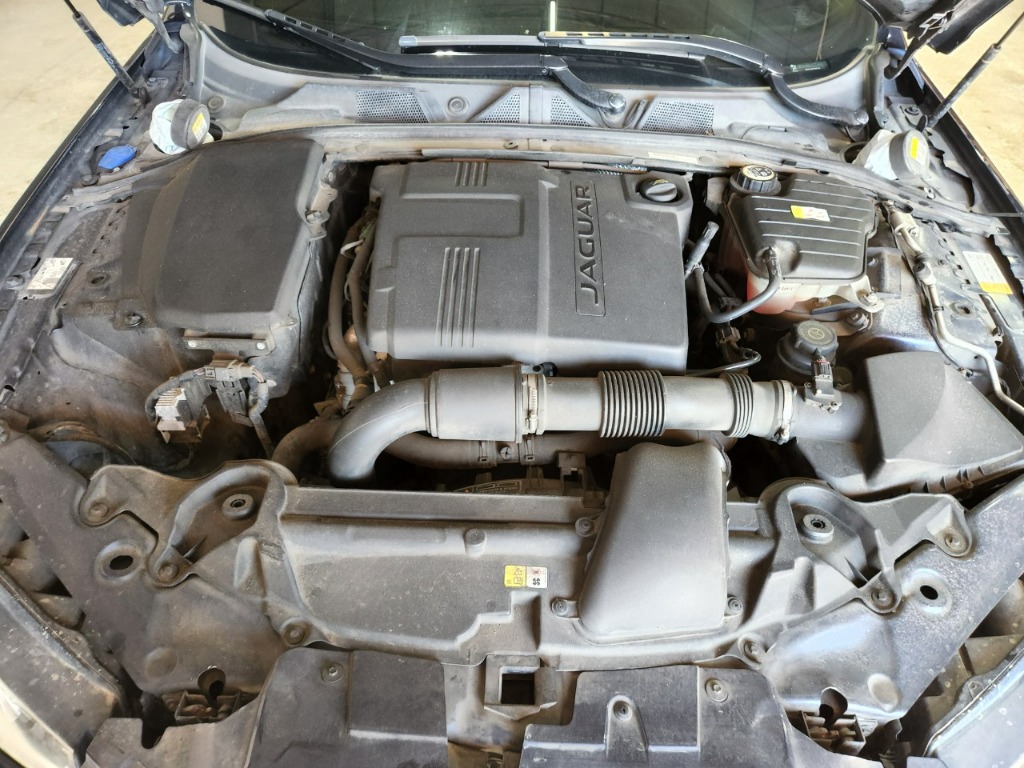 SAJAA05J2FDU56832 Jaguar New Xf