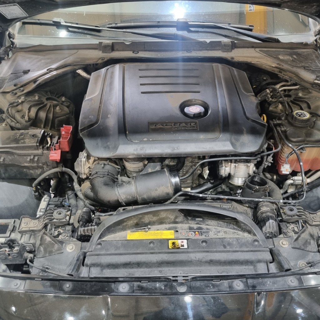 Jaguar Xf X260 2018 SAJBB4BN4JCY54882 Image 5