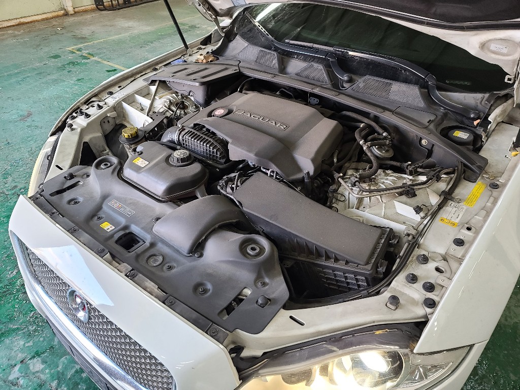 Jaguar Xj 3.0d 2014 SAJAA2223ENV73840 Image 8