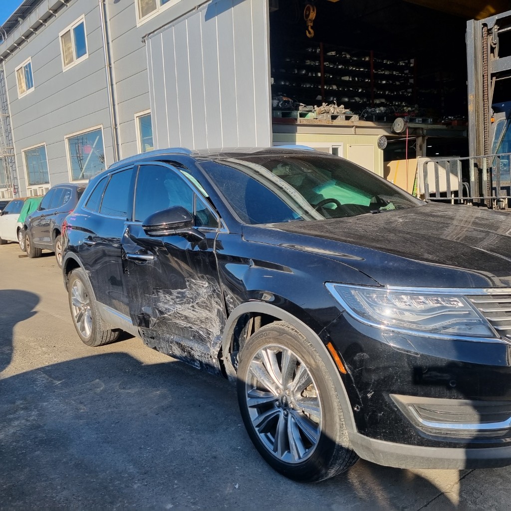 Lincoln MKX 2016 2LMPJ8LP1GBL45193 Image 13