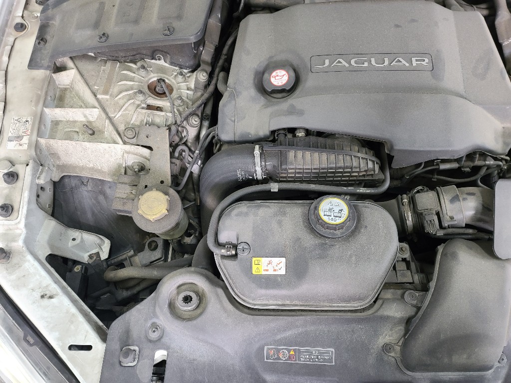 Jaguar XJ 2015 SAJAA2228FNV82227 Image 12