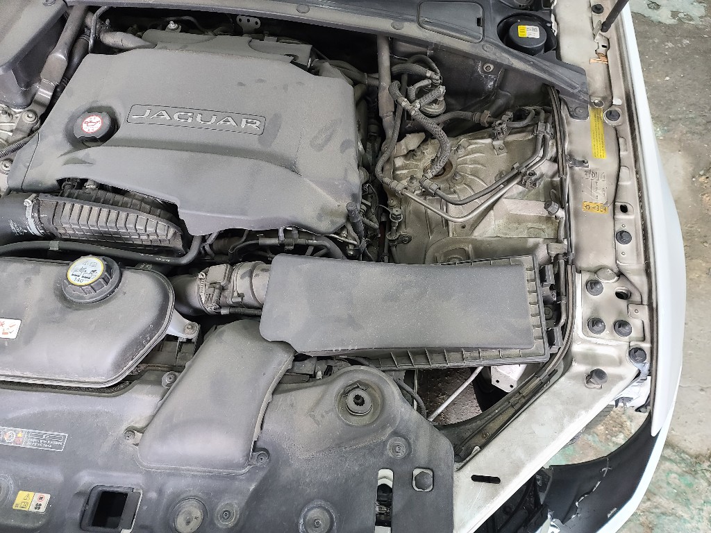 Jaguar XJ 2015 SAJAA2228FNV82227 Image 14