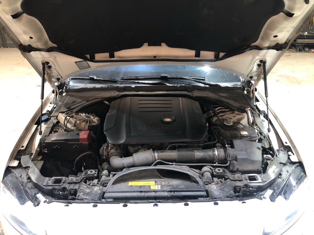 Jaguar Xf X260 2018 SAJBB4BNXJCY61805 Image 3