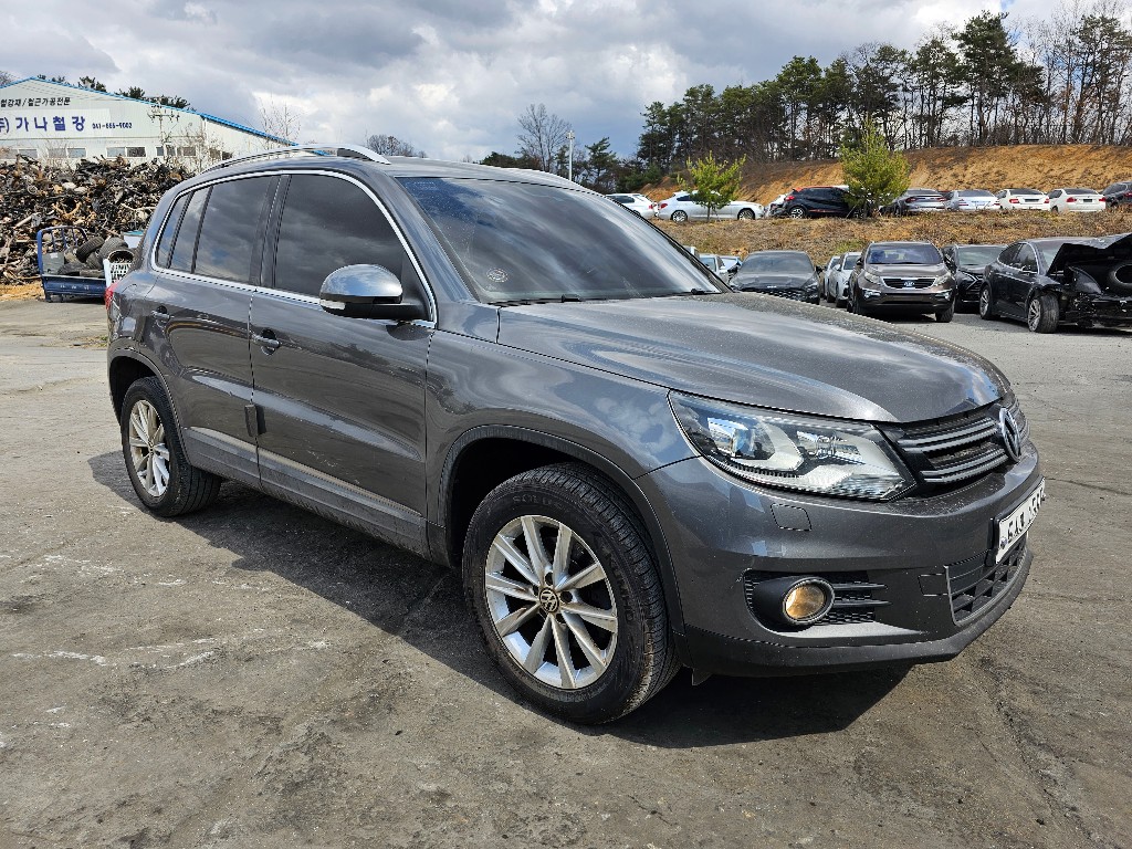 WVGZZZ5NZDW536589 Volkswagen TIGUAN