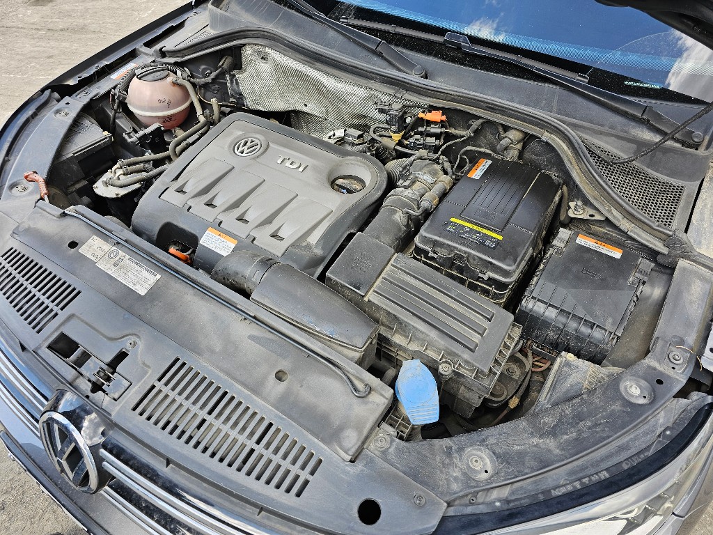 WVGZZZ5NZDW536589 Volkswagen TIGUAN
