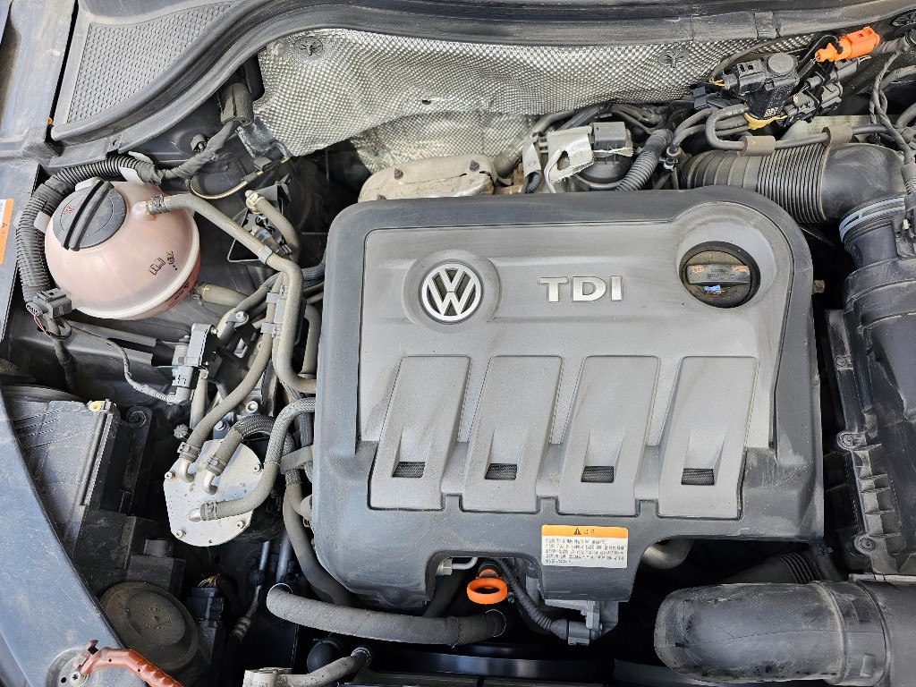 WVGZZZ5NZDW536589 Volkswagen TIGUAN