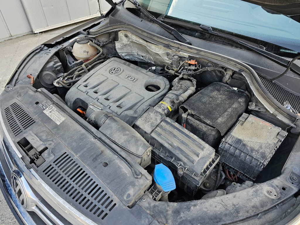 WVGZZZ5NZBW062961 Volkswagen TIGUAN