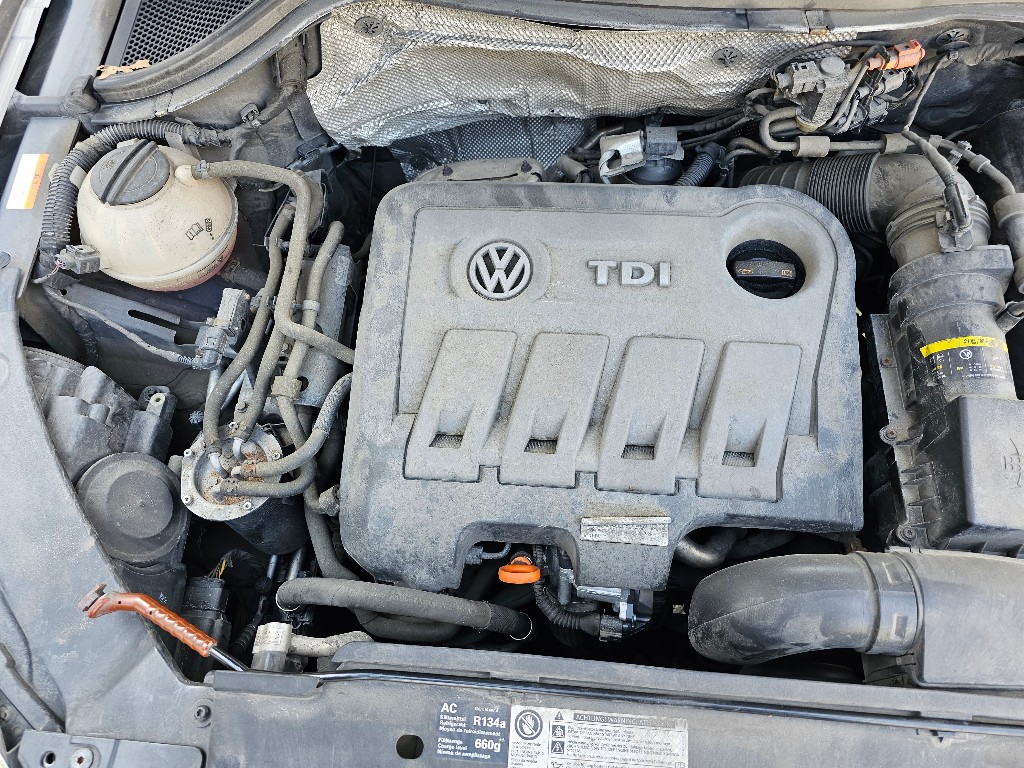 WVGZZZ5NZBW062961 Volkswagen TIGUAN