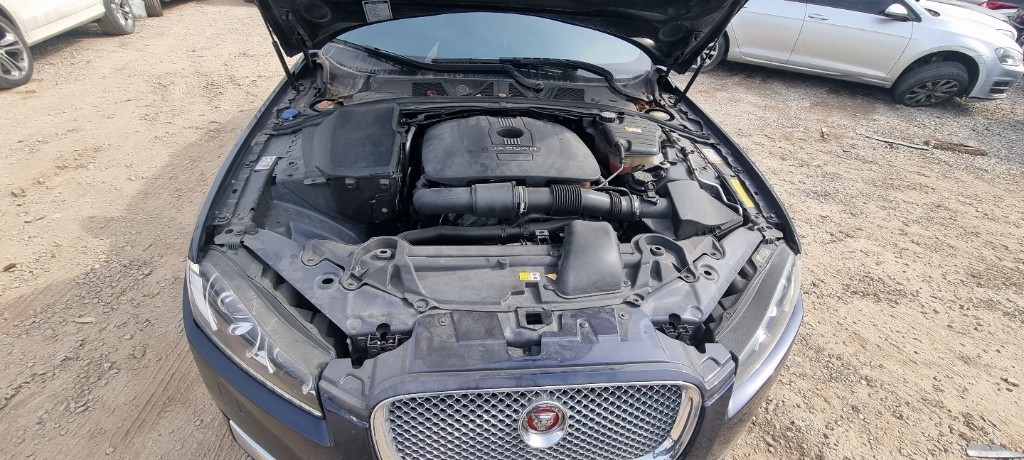SAJAA05S7FPU82799 Jaguar XF